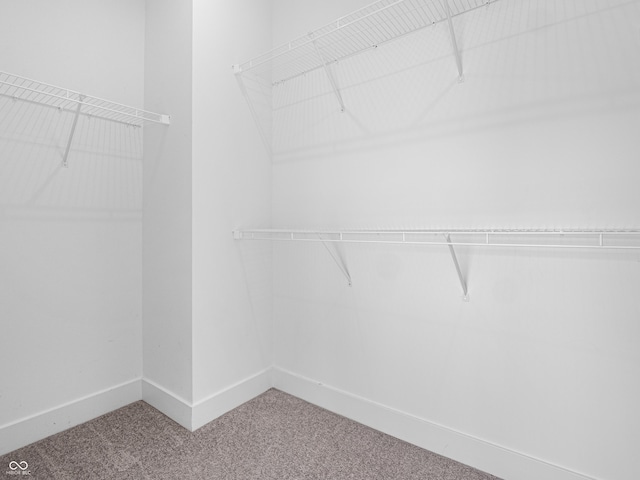 2578 Filson St, Carmel, IN 46032 - spacious closet with carpet floors