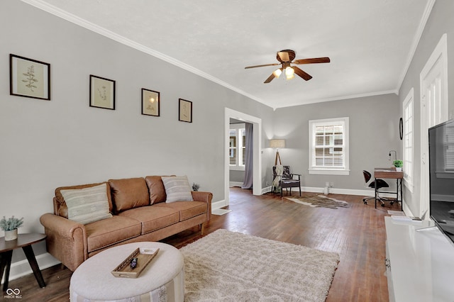 112 S Spencer Ave, Indianapolis, IN 46219 - living room featuring baseboards, ceiling fan, ornamental molding, and dark wood finished floors