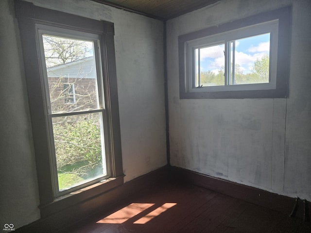 spare room featuring dark wood-style floors and a wealth of natural light
