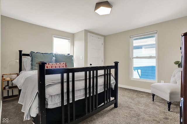 934 E Minnesota St, Indianapolis, IN 46203 - bedroom with baseboards, carpet flooring, and multiple windows