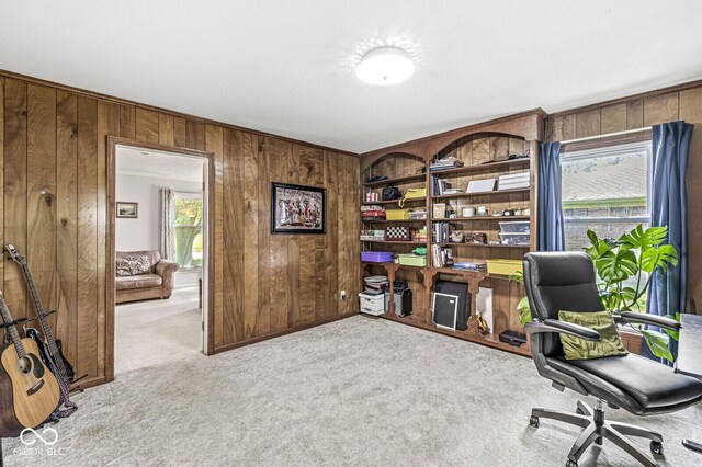 7138 Avalon Trail Ct, Indianapolis, IN 46250 - carpeted office space with wood walls