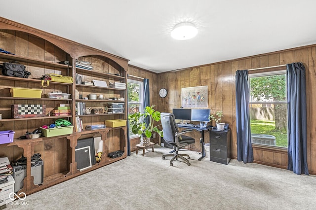 7138 Avalon Trail Ct, Indianapolis, IN 46250 - carpeted office featuring wood walls and plenty of natural light