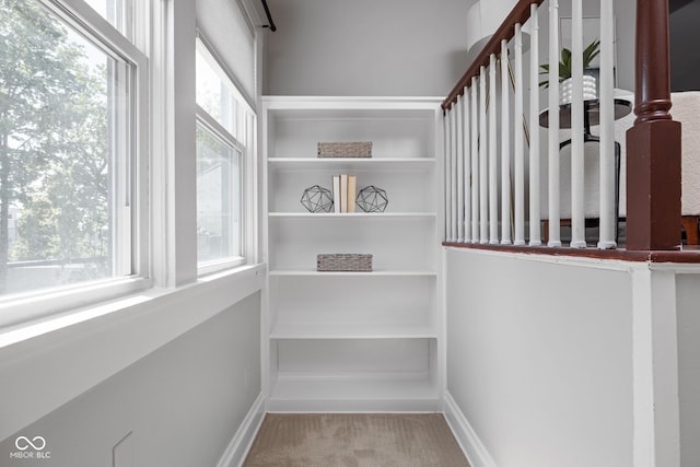 3447 Washington Blvd, Indianapolis, IN 46205 - spacious closet with carpet flooring