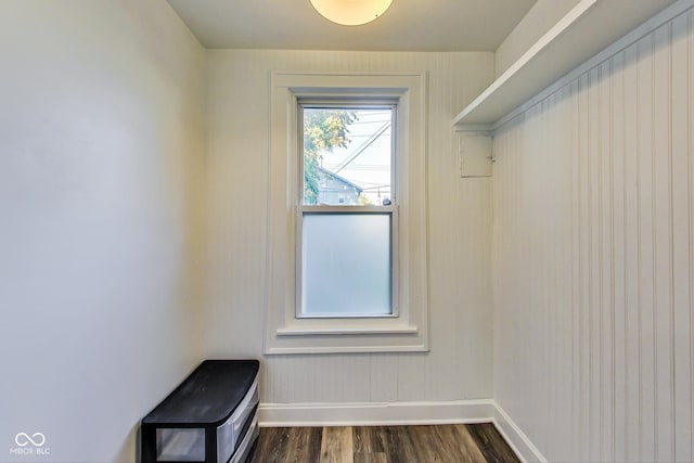 spacious closet featuring dark wood-style flooring