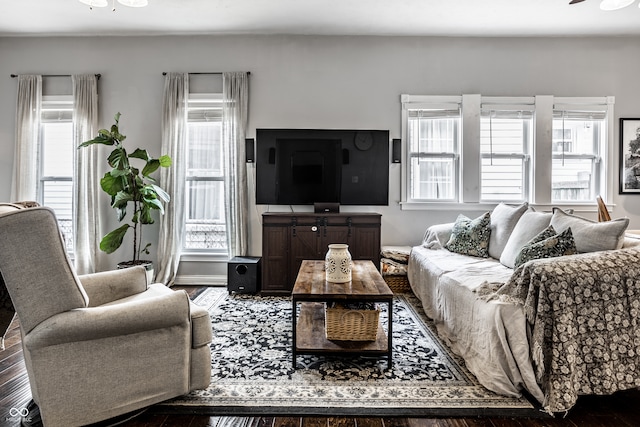 living area featuring wood finished floors, ceiling fan, and a healthy amount of sunlight