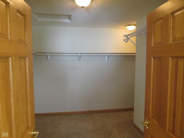 8358 Balmoral Dr, Avon, IN 46123 - spacious closet with light carpet