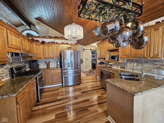 kitchen featuring light wood-style flooring, a barn door, under cabinet range hood, appliances with stainless steel finishes, and a sink