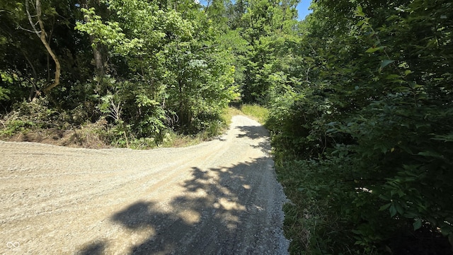 0 Bursot Branch Rd, Vevay, IN 47043 - photo 3