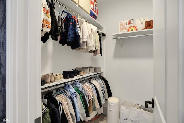 5130 Melbourne Pl, Zionsville, IN 46077 - view of spacious closet