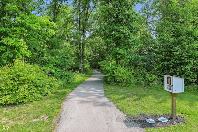 5130 Melbourne Pl, Zionsville, IN 46077 - view of street