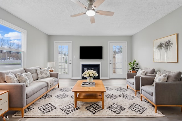 6059 S Bay Dr, Indianapolis, IN 46250 - living area featuring wood finished floors, ceiling fan, a glass covered fireplace, and a healthy amount of sunlight