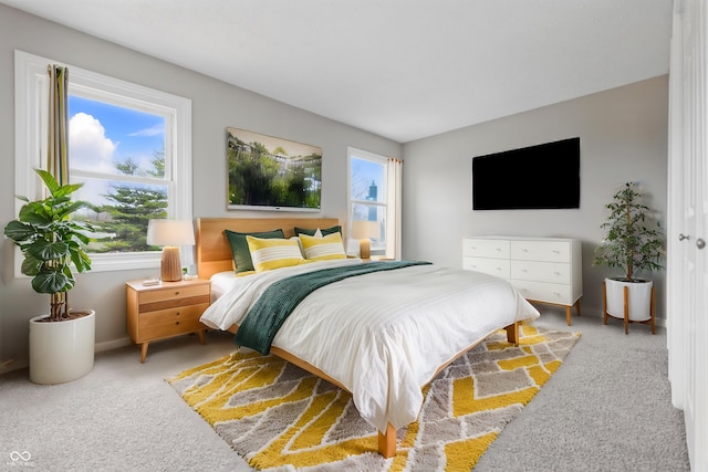 6059 S Bay Dr, Indianapolis, IN 46250 - carpeted bedroom with multiple windows and baseboards