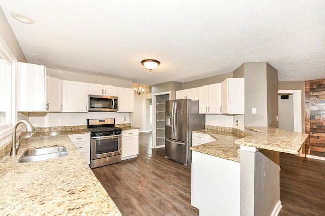 kitchen featuring a peninsula, appliances with stainless steel finishes, a sink, and dark wood-style floors