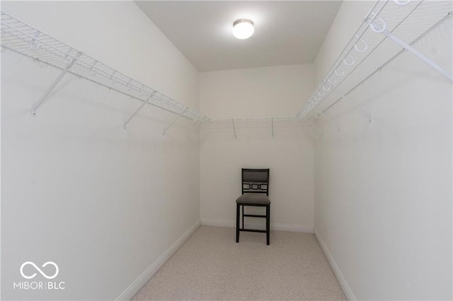 walk in closet featuring light colored carpet