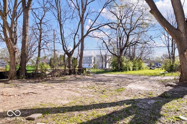 243 N Tacoma Ave, Indianapolis, IN 46201 - view of yard