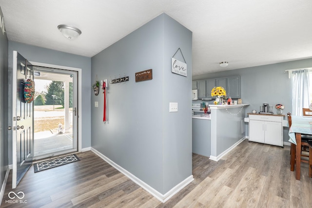329 Dogwood Dr, Pendleton, IN 46064 - entryway featuring wood finished floors, plenty of natural light, and baseboards