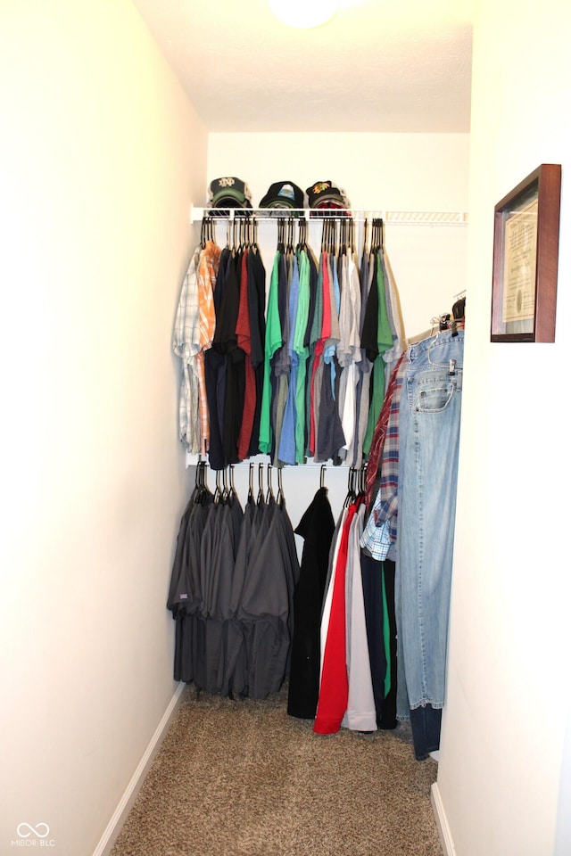 981 Redwood Dr, Franklin, IN 46131 - walk in closet featuring carpet