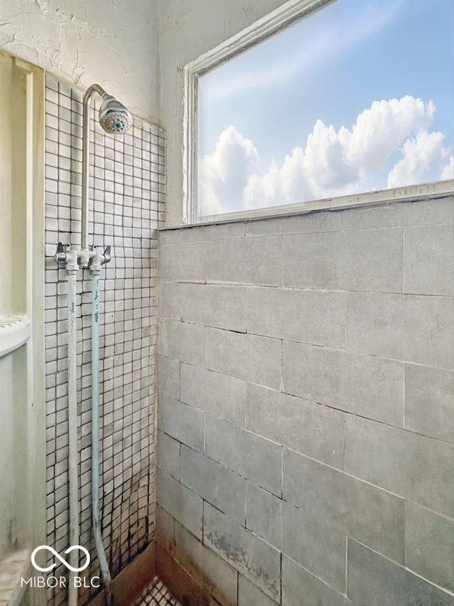 full bathroom with a tile shower