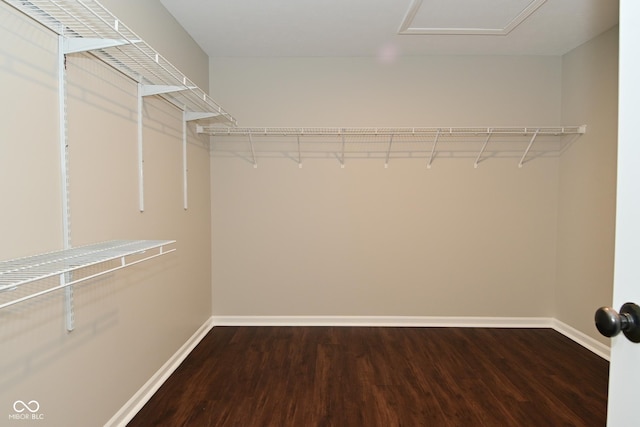 walk in closet with attic access and wood finished floors