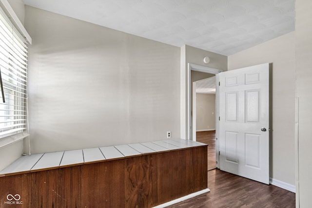 interior space featuring dark wood-type flooring
