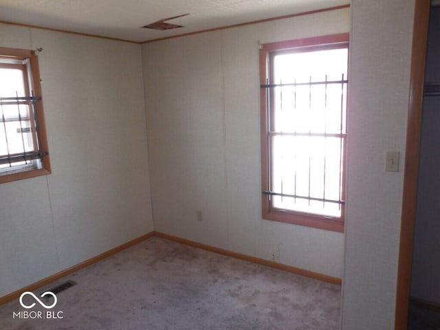 923 Woodview Blvd, Fort Wayne, IN 46806 - spare room with baseboards, carpet floors, crown molding, and plenty of natural light