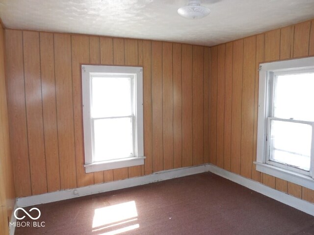 923 Woodview Blvd, Fort Wayne, IN 46806 - empty room featuring baseboards, a wealth of natural light, and wooden walls