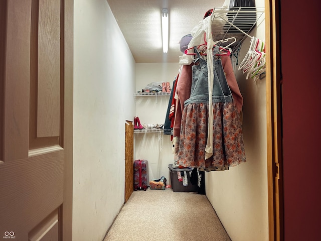 310 E Central Ave, Greensburg, IN 47240 - walk in closet featuring carpet flooring