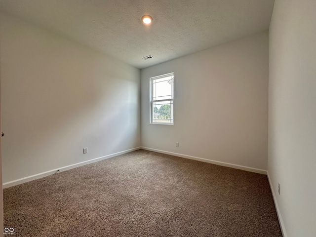 8727 Duncan St, Fortville, IN 46040 - carpeted empty room with baseboards and a textured ceiling