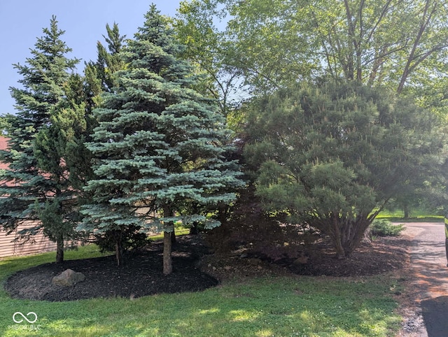 1024 Foltz St, Indianapolis, IN 46241 - view of yard