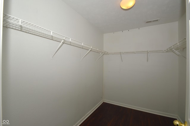 5406 Shamus Dr, Indianapolis, IN 46235 - walk in closet featuring dark wood-style flooring