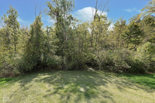 view of yard with a wooded view