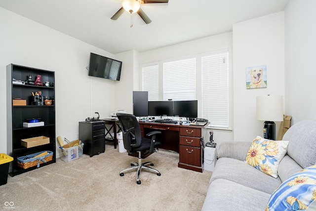 office area featuring a ceiling fan and carpet
