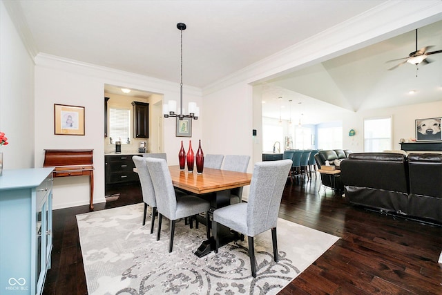 dining room with a healthy amount of sunlight, ornamental molding, ceiling fan with notable chandelier, and hardwood / wood-style floors