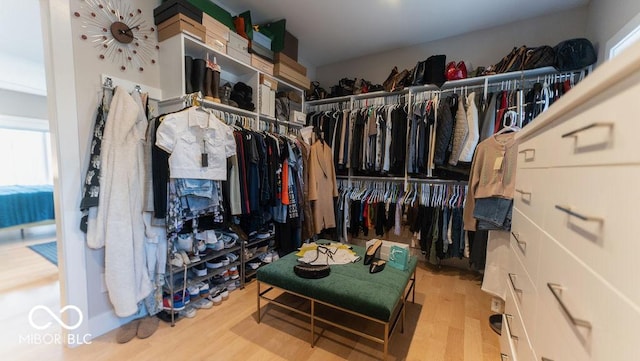 walk in closet featuring wood finished floors