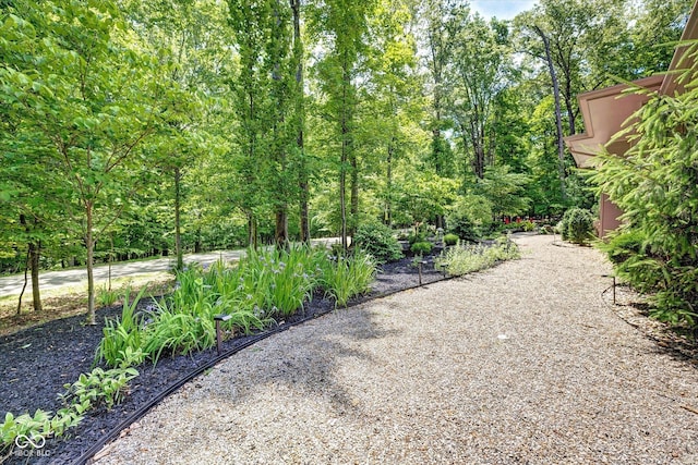 7493 E Rush Ridge Rd, Bloomington, IN 47401 - view of yard