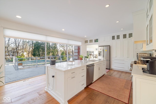 1227 S Pickwick Pt, Bloomington, IN 47401 - kitchen featuring light wood-type flooring, plenty of natural light, appliances with stainless steel finishes, and visible vents