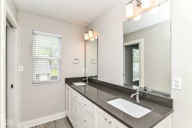 full bath with double vanity, a sink, wood finished floors, and a healthy amount of sunlight