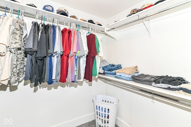 view of walk in closet