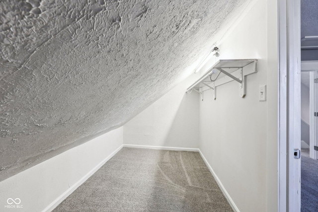422 N Oxford St, Indianapolis, IN 46201 - walk in closet with carpet and vaulted ceiling