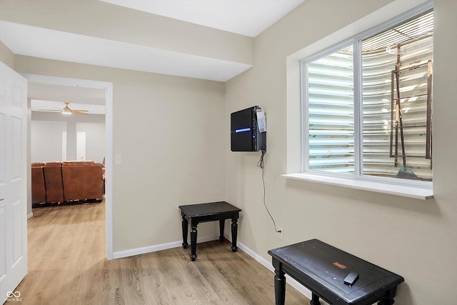 6869 W Winding, Mccordsville, IN 46055 - hallway featuring light wood-style flooring, a wealth of natural light, and baseboards