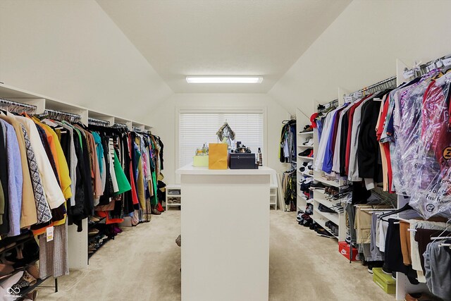6869 W Winding, Mccordsville, IN 46055 - walk in closet featuring light colored carpet and vaulted ceiling
