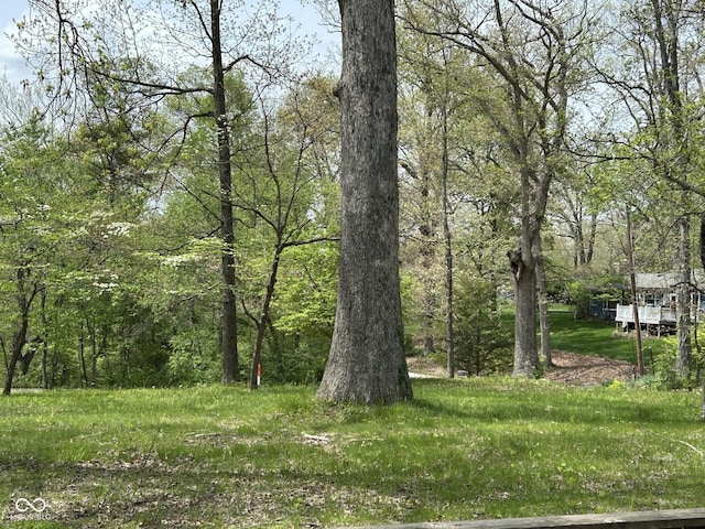 585 Artist Dr, Nashville, IN 47448 - photo 4
