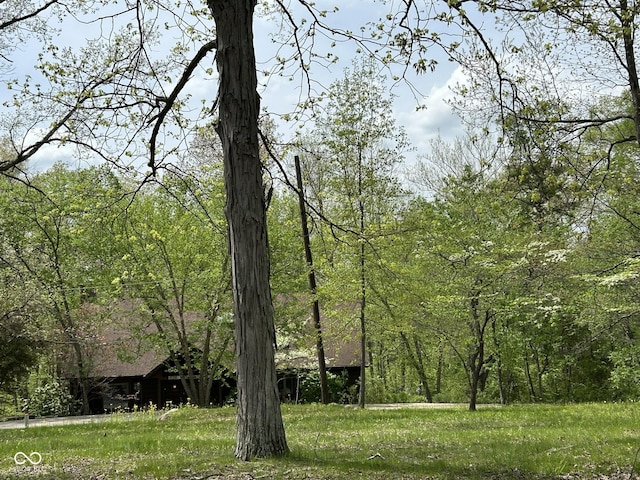 585 Artist Dr, Nashville, IN 47448 - photo 3