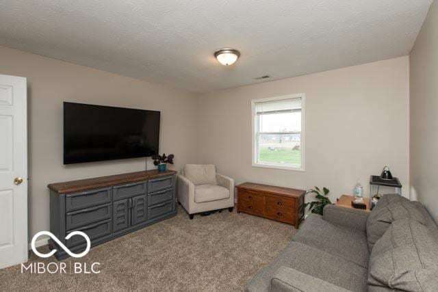 5973 Masten Rd, Coatesville, IN 46121 - living area featuring a textured ceiling and carpet floors