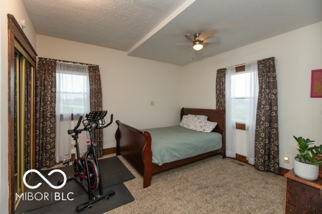 5973 Masten Rd, Coatesville, IN 46121 - carpeted bedroom with a textured ceiling, baseboards, and multiple windows