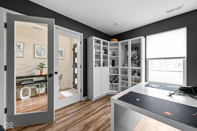 1024 Cyprian Way, Lebanon, IN 46052 - spacious closet with wood finished floors