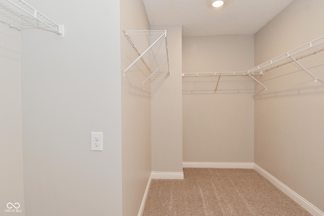 8404 Alcona Dr, Indianapolis, IN 46237 - photo 29