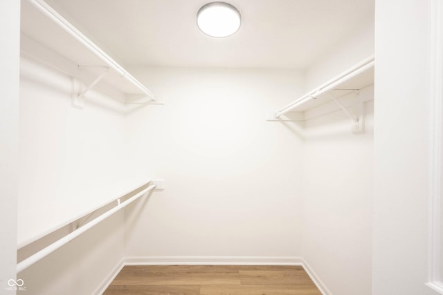 spacious closet with light wood finished floors