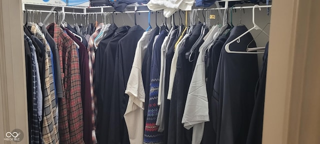 view of walk in closet