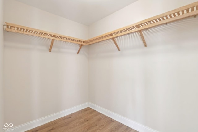 walk in closet with light wood finished floors